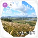 (주)교원더오름 | 제주도 가을 여행지 따라비오름 억새 천지연 폭포 포함