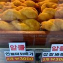 진영 맛집 메뉴 음식 추천 다양한 종류의 스시가 준비되어 있어요