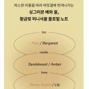 컨피던트 딥 트리트먼트 헤어 팩 vs 힐링버드 리바이브 단백질 딥 헤어 마스크 비교 극손상모 사용후기