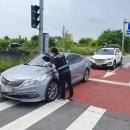 주정차-25 이미지