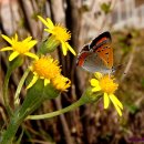 풍경(오월의 이야기 이미지