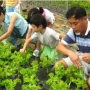 건너농장 이미지