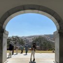 산책길에 | 용인 호암미술관 벚꽃 명소 🌸 김윤신 전시 + 정원 산책 코스 후기