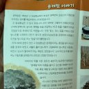 성림정 | 보성가볼만한곳, 숲정원 보성윤제림 보성수국개화상황 후기