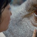 미란축산 이미지