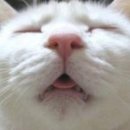 마실마트 이미지