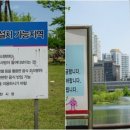 봉구스밥버거상동 이미지