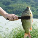 낚시 - 강릉시 율곡로 2932 | 낚시