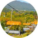 서울 대공원 동물원 둘레길 단풍 구경 걷기[ 11월 1일(토) ] 이미지