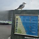 삼포 이미지
