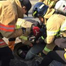 대야농협주유소 이미지