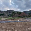 옥녀포금혈(?) 입니다.(함평 해보 밀재 下) 이미지