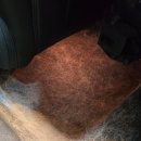 프로크리닝 이미지