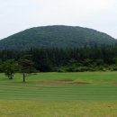 타미우스CC 이미지