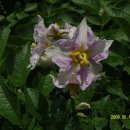 백산농장 이미지