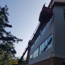 성주카병원 이미지