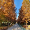 서두나루공원 이미지