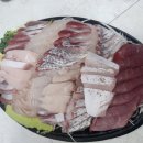 문등1리마을회 | 노량진회포장 인기폭발 가성비최고 땅끝마을 방광돔 따끈 후기