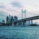 봉래2동-2 | 외국인 관광객 364만 명이 미쳤다고 외치는 부산의 핫플들