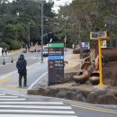 동백공원 입구 이미지