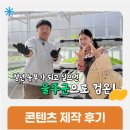 스마트폰 영상콘텐츠 제작 | [영상제작후기] 청년 농부의 이야기를 담다, 울주 스마트팜 콘텐츠 영상 제작 후기