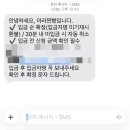 임영웅 티켓팅 뺨치는 찐빵켓팅 '아라찐빵' 성공 후기(feat. 아이폰)