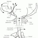 영은한의원 이미지
