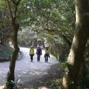 광양 옥룡사지 이미지