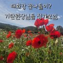 삼산초등학교 | [울산 기탄] 5월 수업연구모임, 봄을 찾아 태화강국가정원에서~