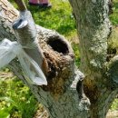 현화농장 이미지