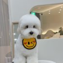 한올디테일그루밍 이미지