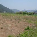 계룡로(상동동) 이미지