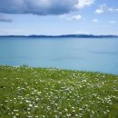 배낭여행 이미지