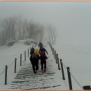 평창아름다운세상 이미지