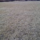 잔디 농장 이미지