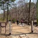 한국통닭 이미지