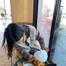 제주도 한 달 살기 16day - 토토아뜰리에, 신화테마파크, 유리의성