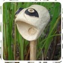 (주)인터파라다이스 이미지