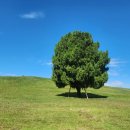 토성(土城) 터 이미지