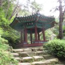 수옥경로당 Daum카페