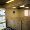 마리오펫 이미지