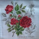 레드로즈 이미지