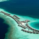 베스트 오브 벨리 이미지