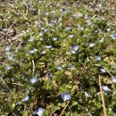 행화농장 이미지