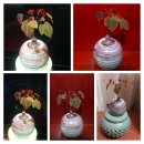 승빈농장 이미지