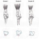 해온동물의료센터 이미지