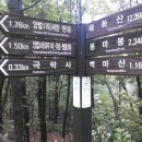 둔덕삼거리 이미지