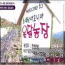 온달농장 이미지