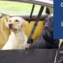 멍나들이 이미지