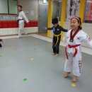 라임태권도장 이미지